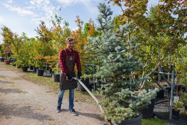 Best Tree and Shrub Care  in Gainesboro, TN